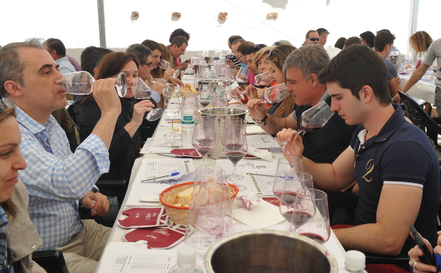 Feria del vino de la D. O. Toro