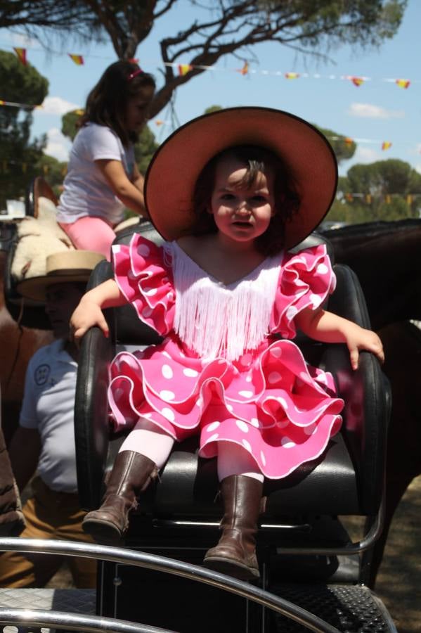 Feria de Primavera de Nava de la Asunción (Segovia)