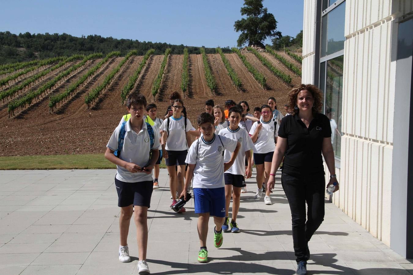 Alumnos de la Inmaculada de Peñafiel participan en un taller de poda en la bodega Cepa 21