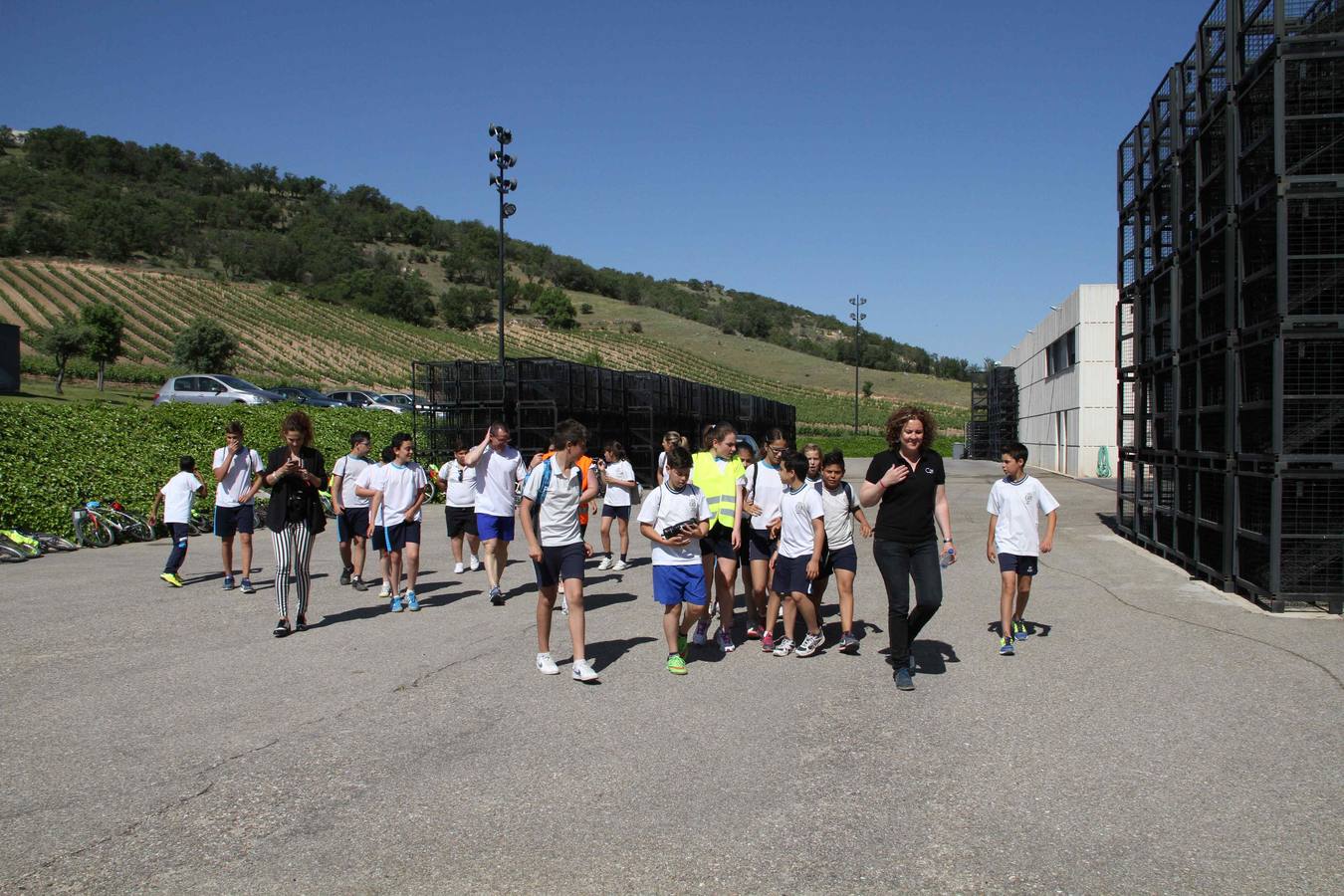 Alumnos de la Inmaculada de Peñafiel participan en un taller de poda en la bodega Cepa 21
