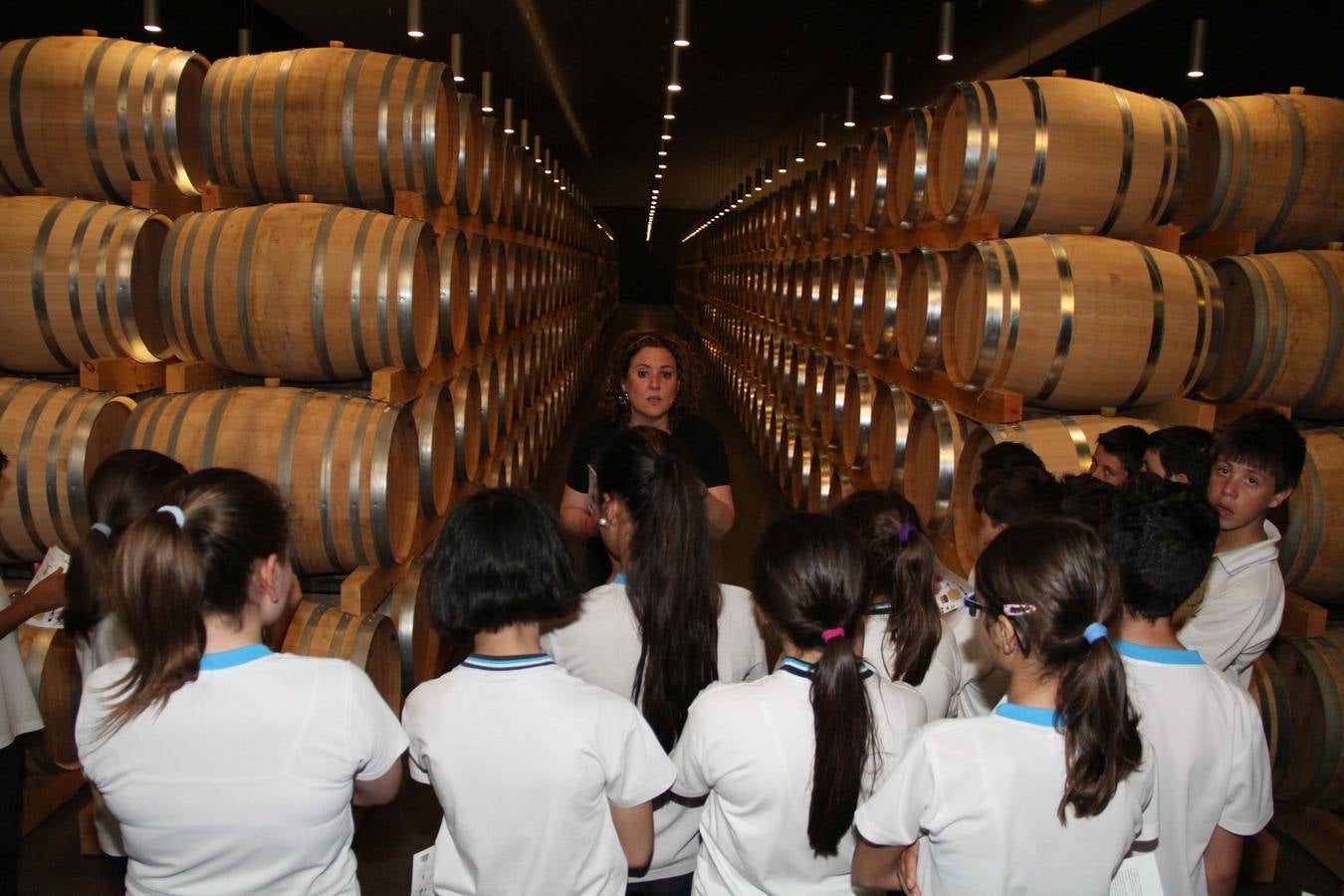 Alumnos de la Inmaculada de Peñafiel participan en un taller de poda en la bodega Cepa 21