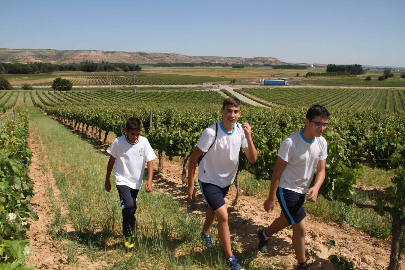 Alumnos de la Inmaculada de Peñafiel participan en un taller de poda en la bodega Cepa 21