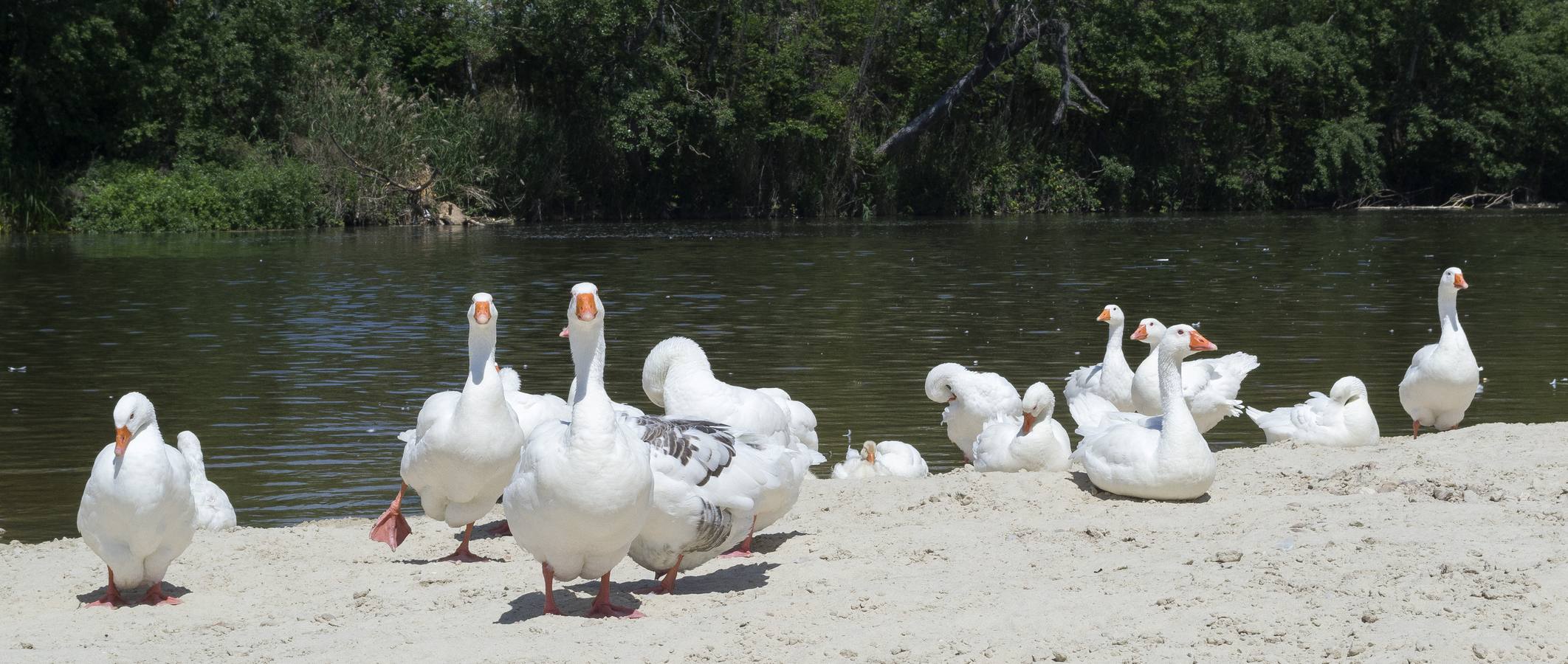 El calor se instala en Valladolid