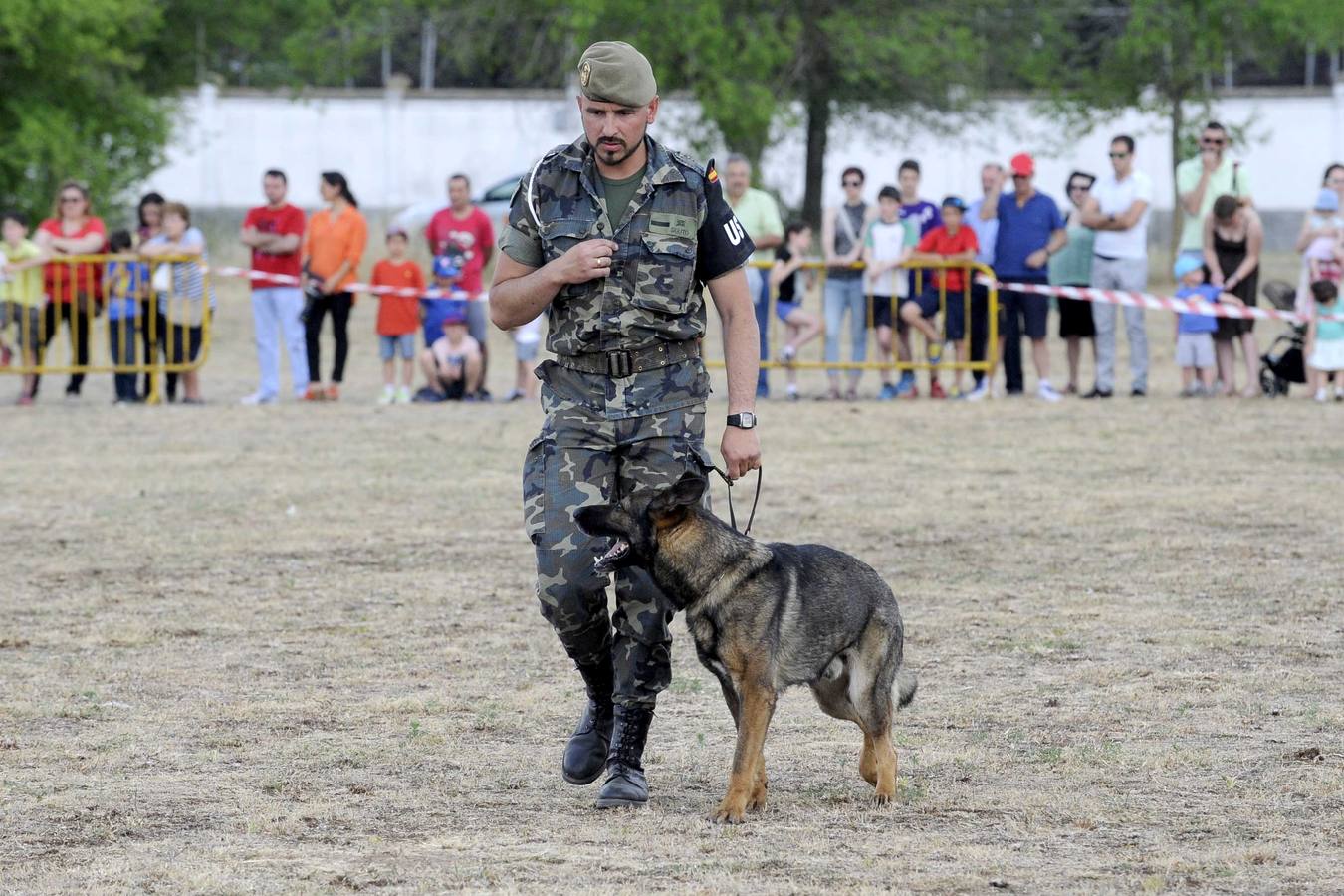 Exhibición de perros y aviones en el acuartelamiento de San Isidro (Valladolid)