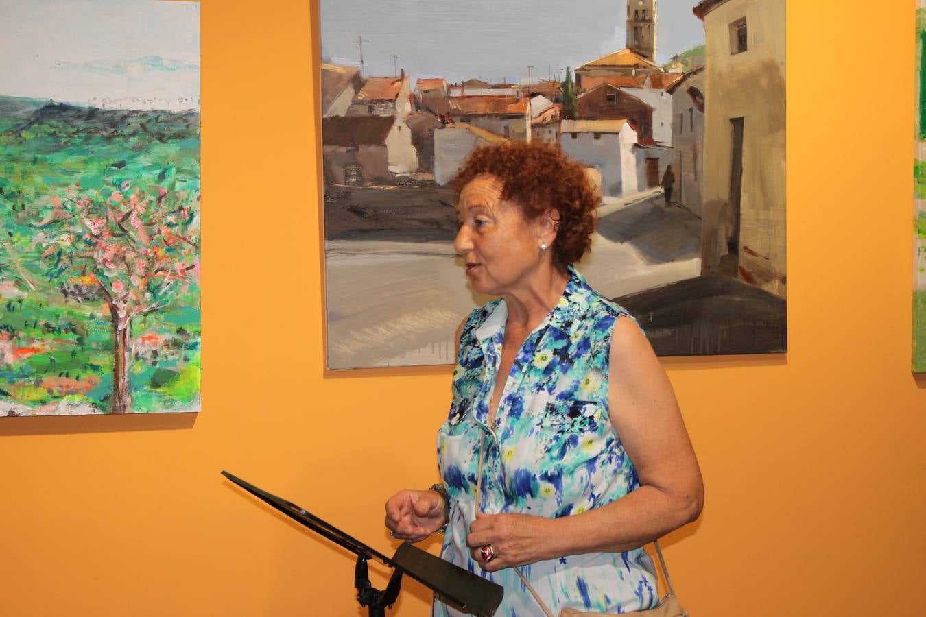 Presentación del libro ‘Baltanás, Corral del Aire. Ruta de las Cabañas Pastoriles’,