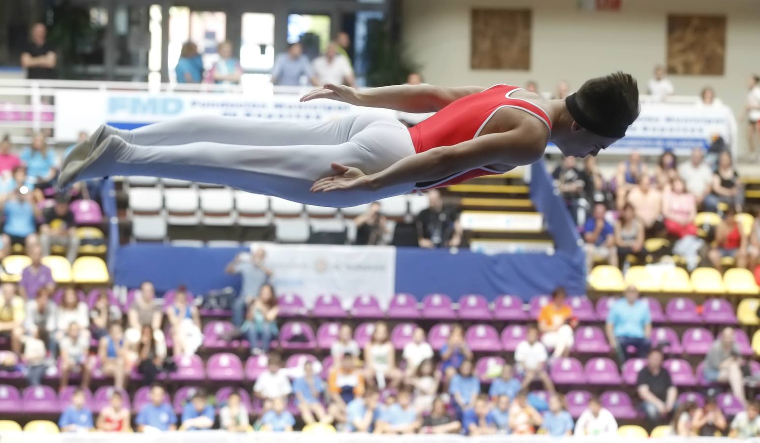Campeonato de España de Trampolín