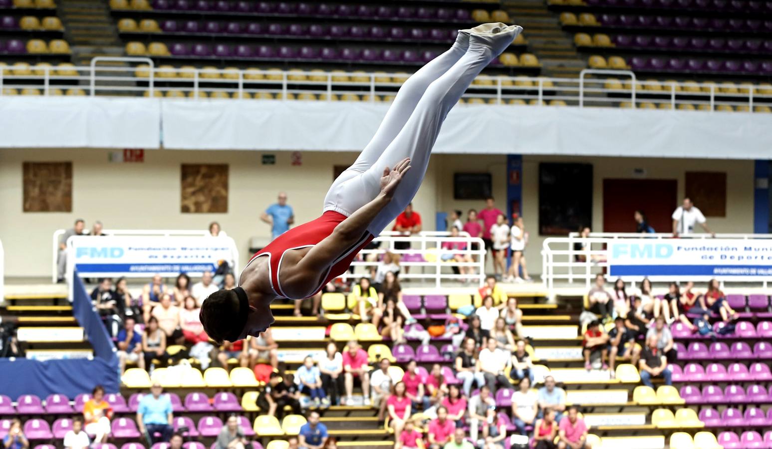 Campeonato de España de Trampolín