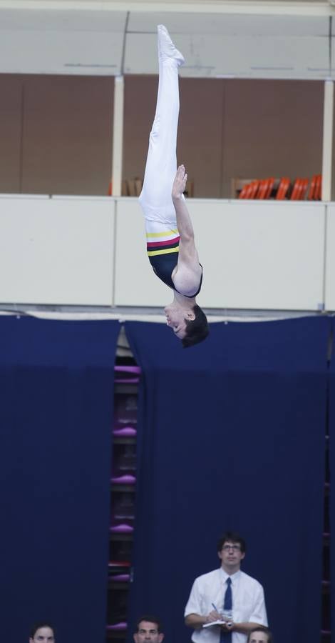 Campeonato de España de Trampolín