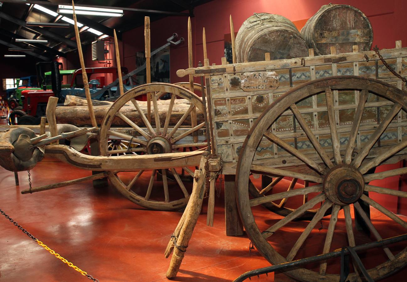 Inauguración del Museo del Servicio Forestal Español en Coca (Segovia)