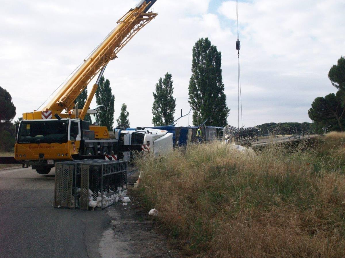 Un camión cargado con 7.000 pollos sufre un accidente en Íscar