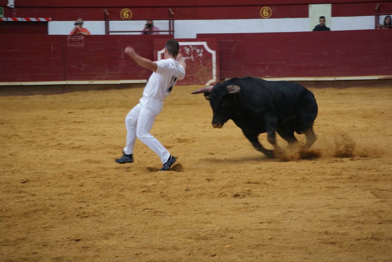 Concurso de Cortes de La Flecha