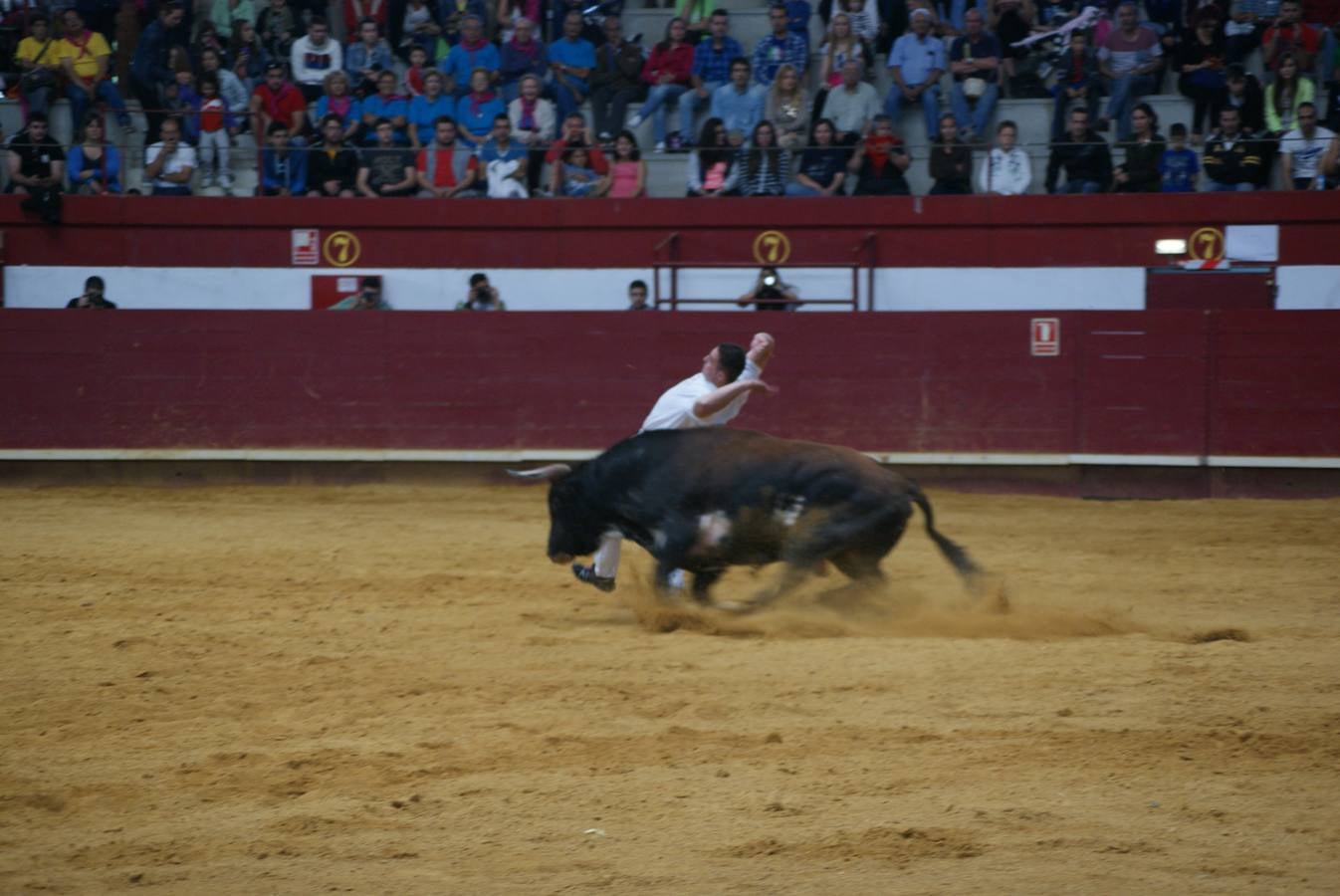 Concurso de Cortes de La Flecha