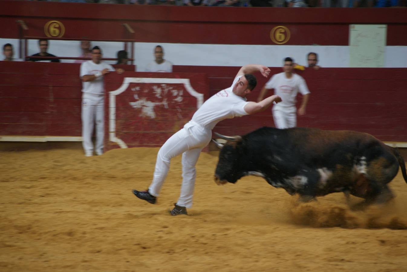 Concurso de Cortes de La Flecha