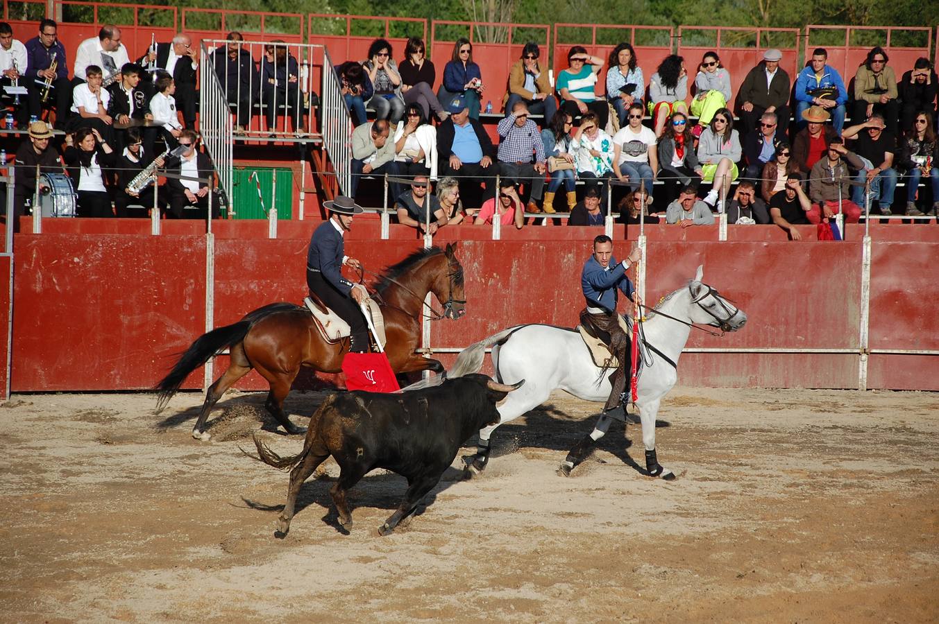 Guardo (Palencia) celebra San Antonio (2/2)