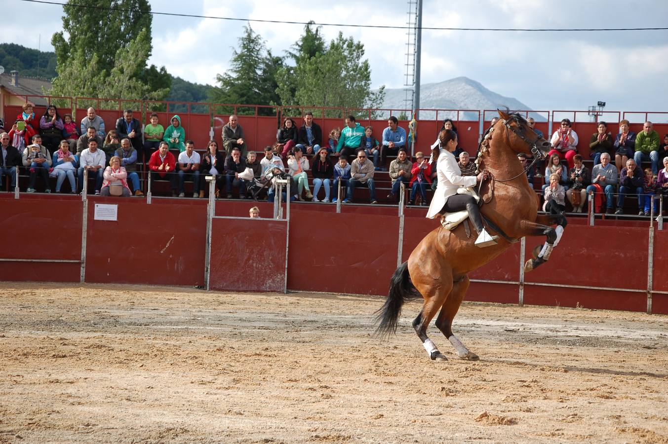 Guardo (Palencia) celebra San Antonio (2/2)