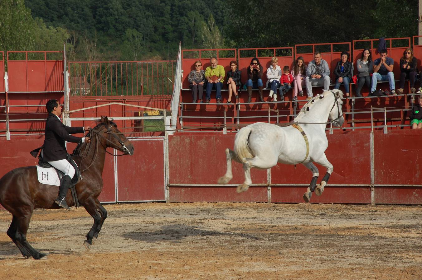 Guardo (Palencia) celebra San Antonio (2/2)