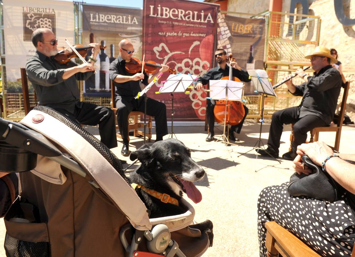 Concierto para perros en &#039;Bodegas Liberalia&#039;