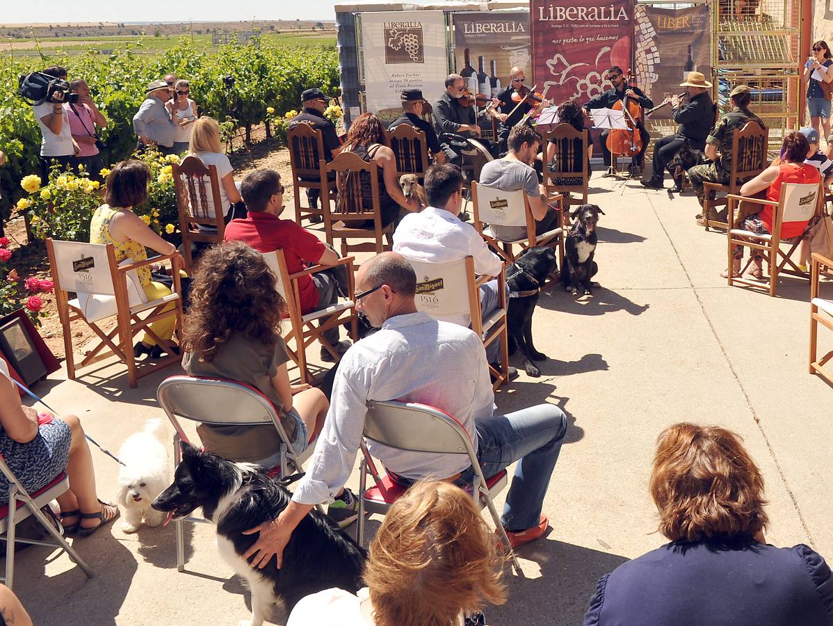 Concierto para perros en &#039;Bodegas Liberalia&#039;