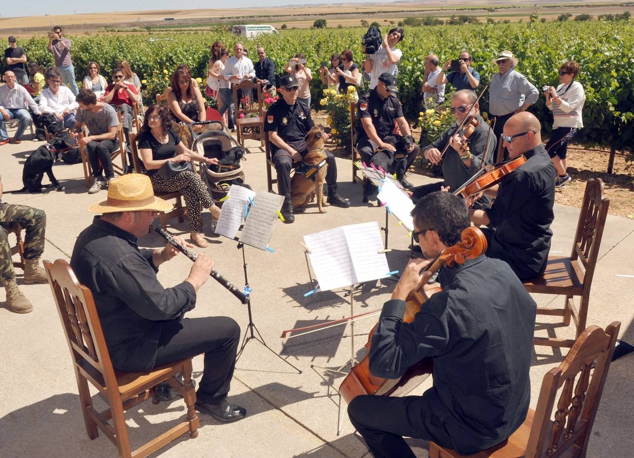 Concierto para perros en &#039;Bodegas Liberalia&#039;