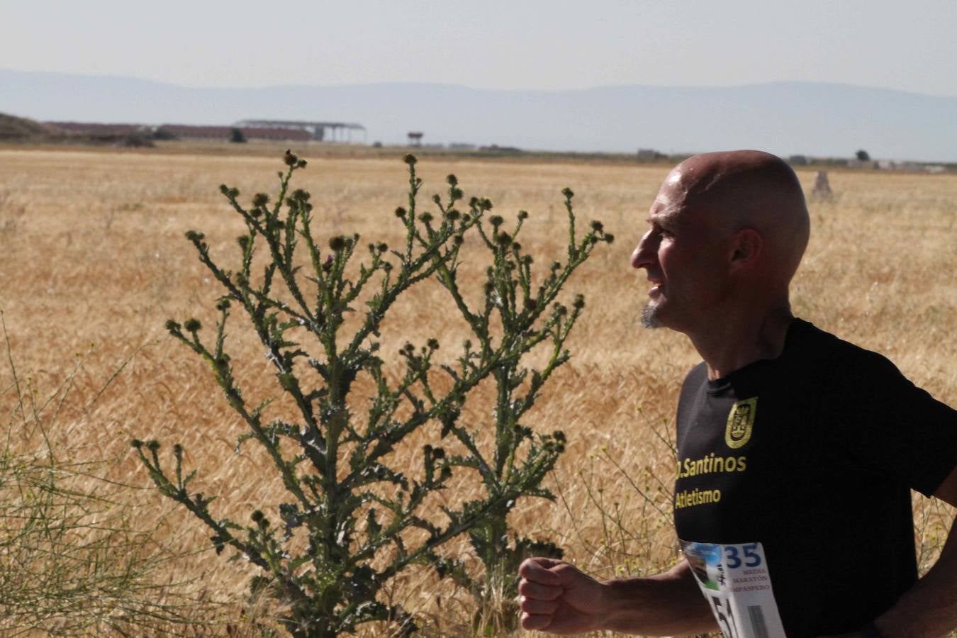 XXXV Media Maratón de Campaspero (Valladolid) (2/2)