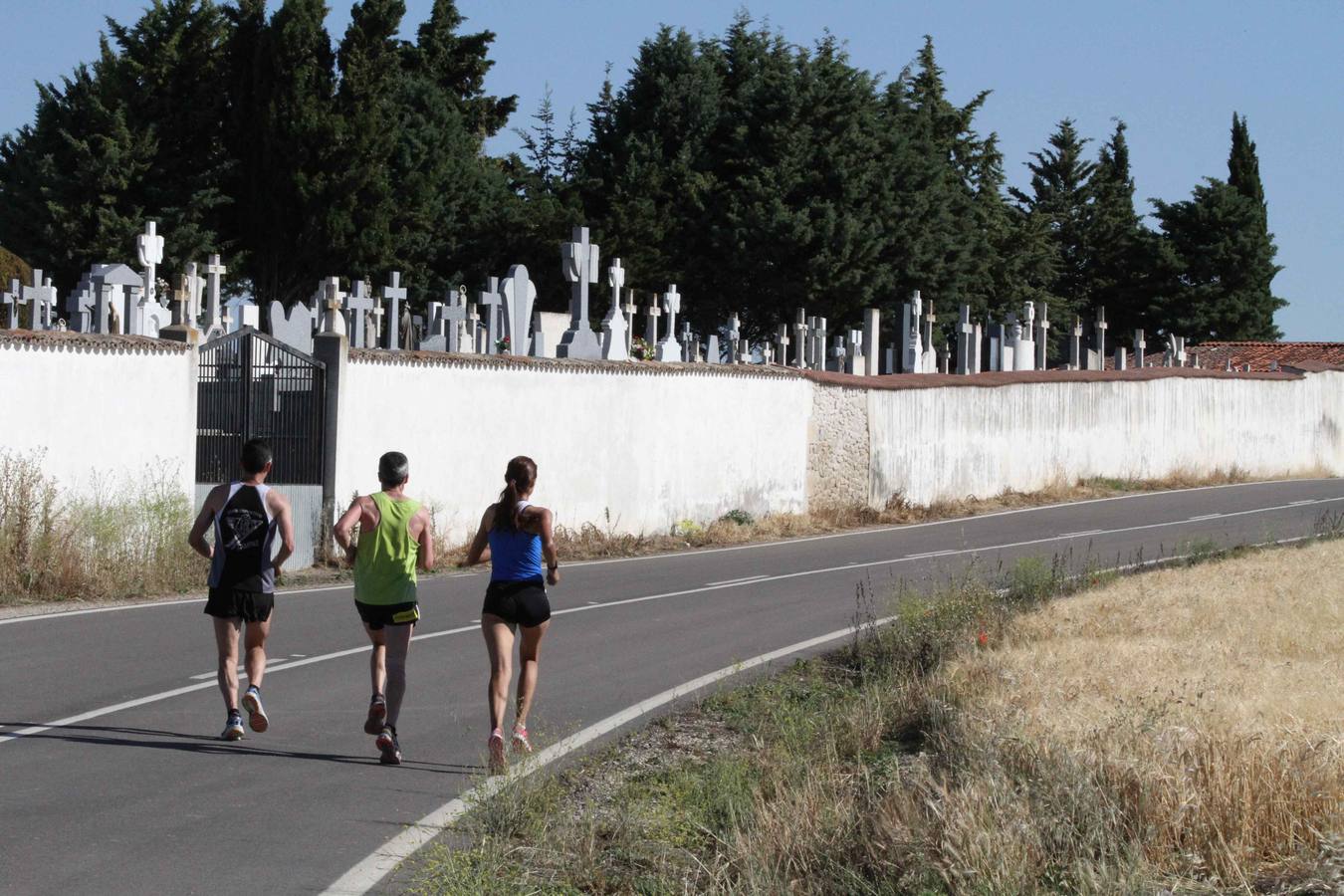 XXXV Media Maratón de Campaspero (Valladolid) (2/2)