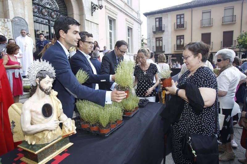 Reparto de tomillo bendecido en Palencia para honrar a San Juan