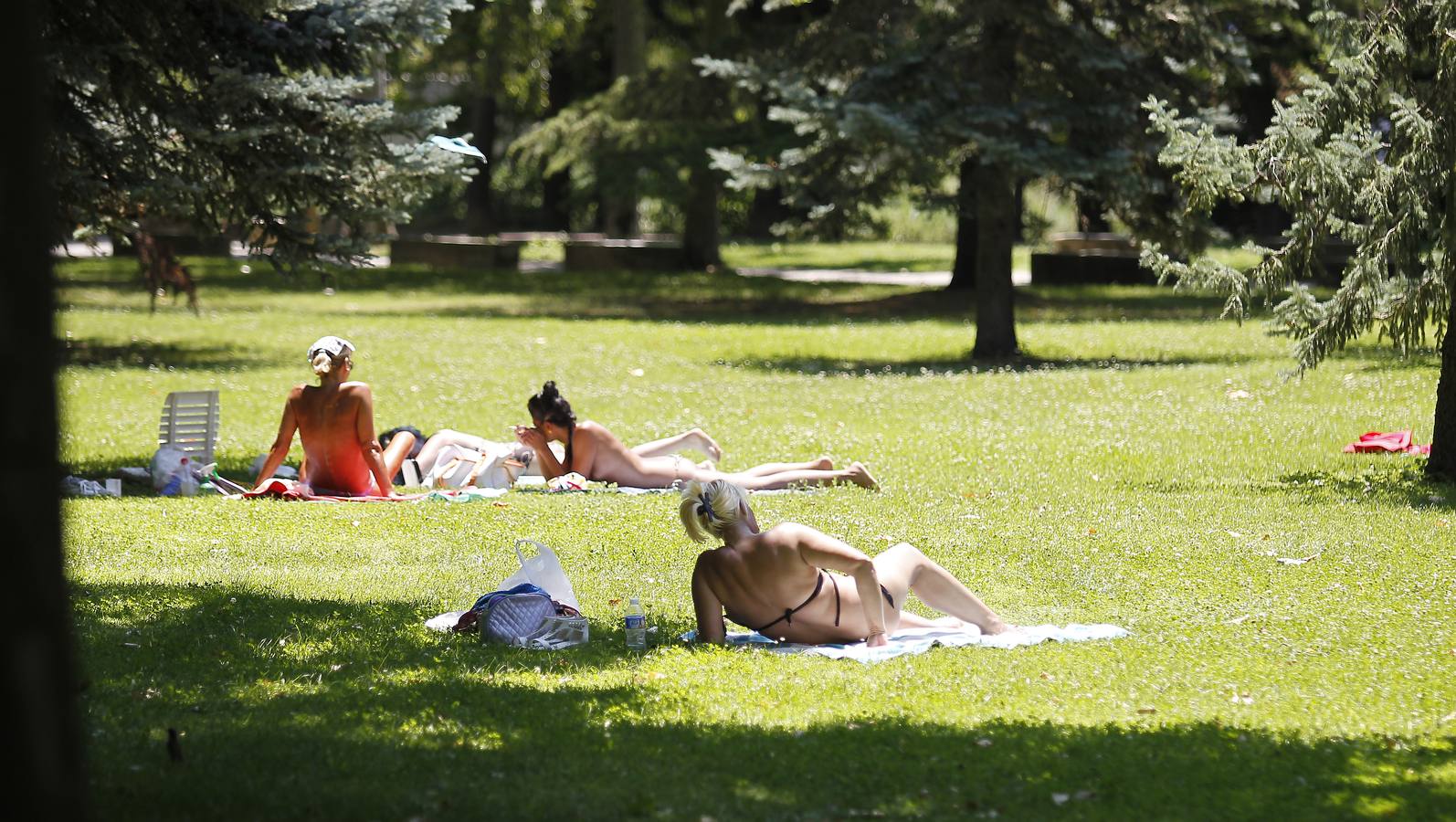 Ola de calor en Palencia