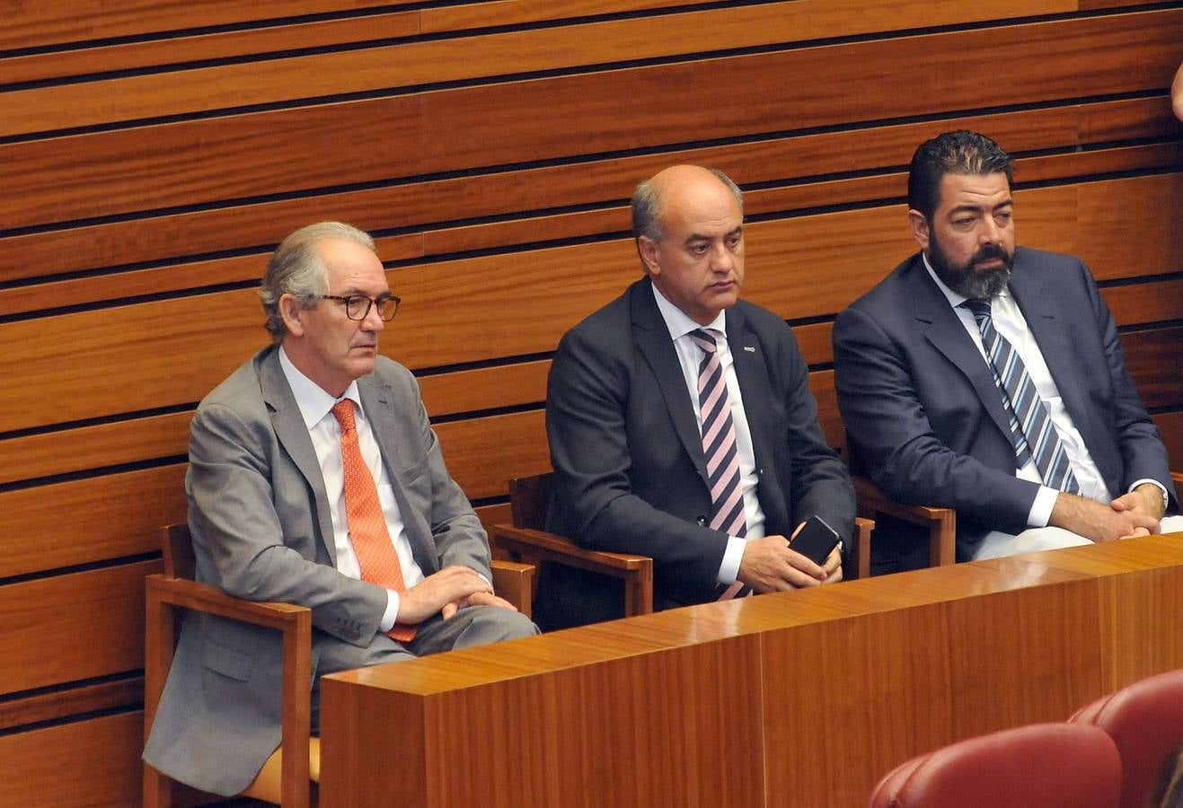 Debate de investidura del candidato a la Presidencia de la Junta de Castilla y León (2)