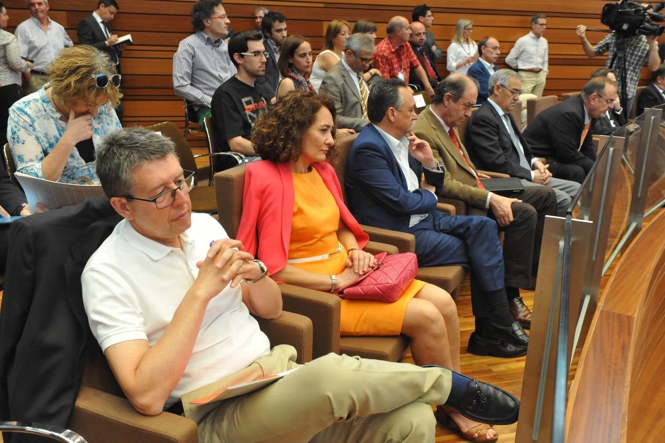 Debate de investidura del candidato a la Presidencia de la Junta de Castilla y León (2)