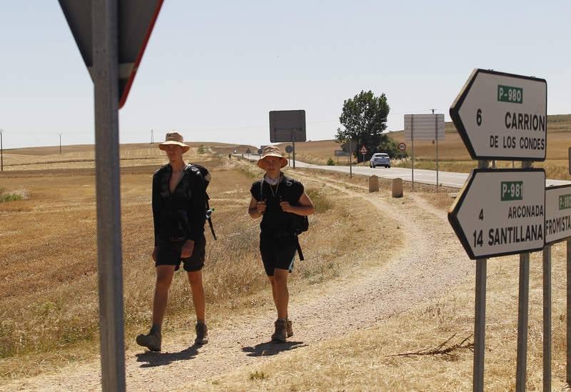 Camino de Santiago a su paso por Palencia