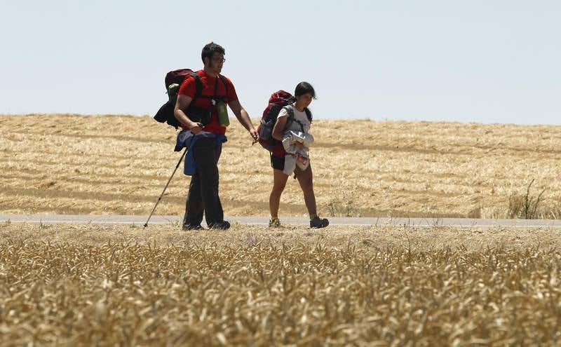 Camino de Santiago a su paso por Palencia