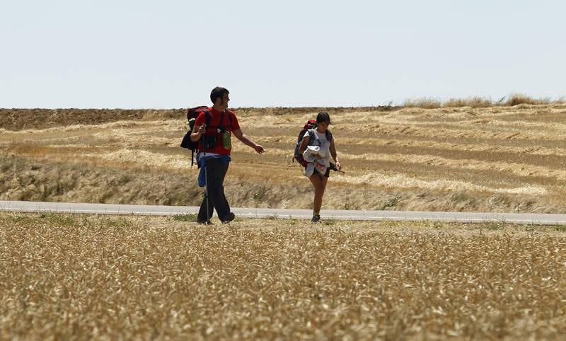 Camino de Santiago a su paso por Palencia