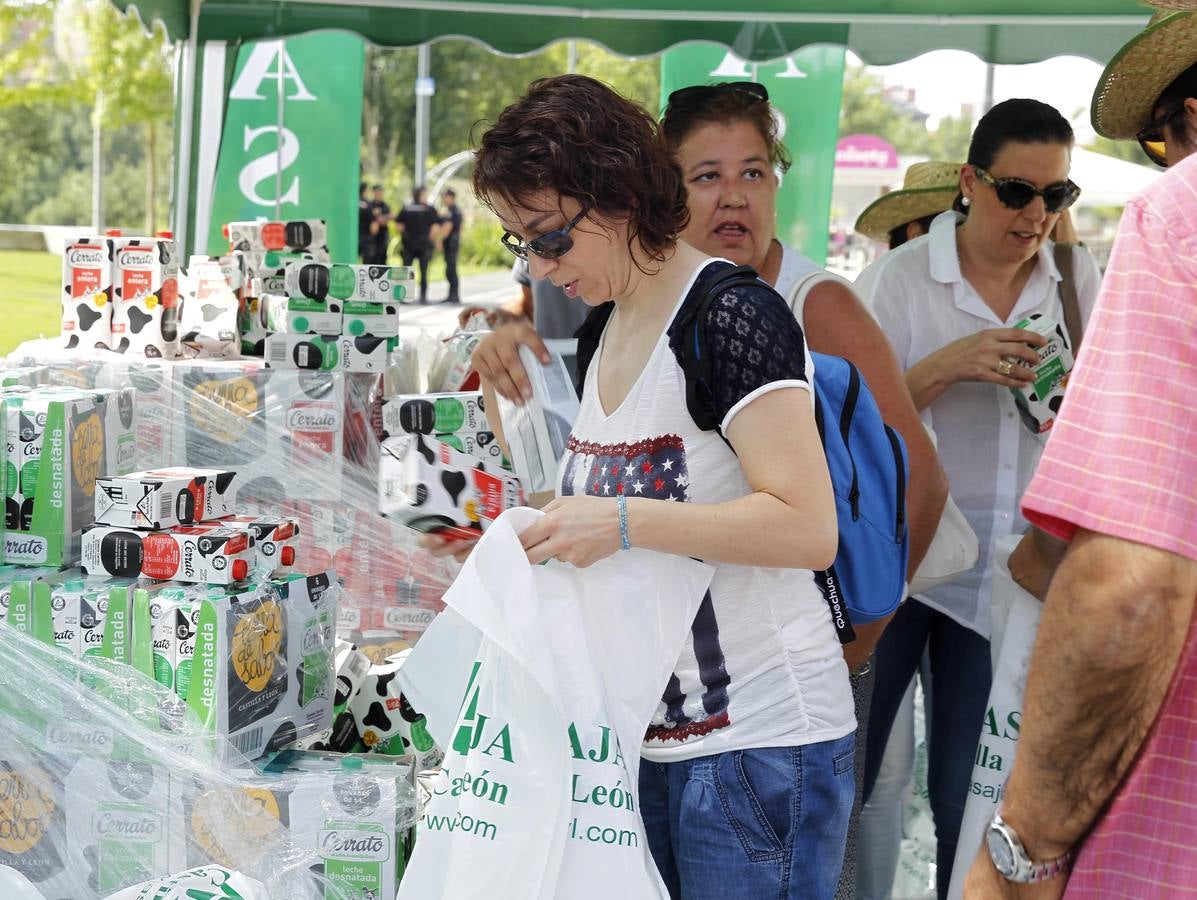 Reparto de leche en la Plaza del Milenio (Valladolid)