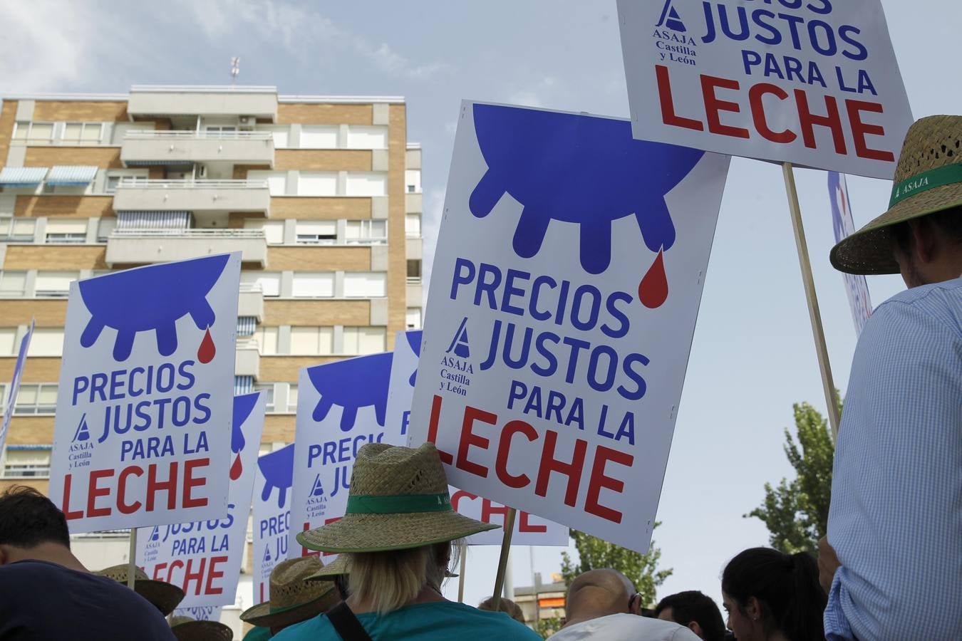 Reparto de leche en la Plaza del Milenio (Valladolid)