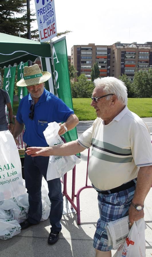 Reparto de leche en la Plaza del Milenio (Valladolid)