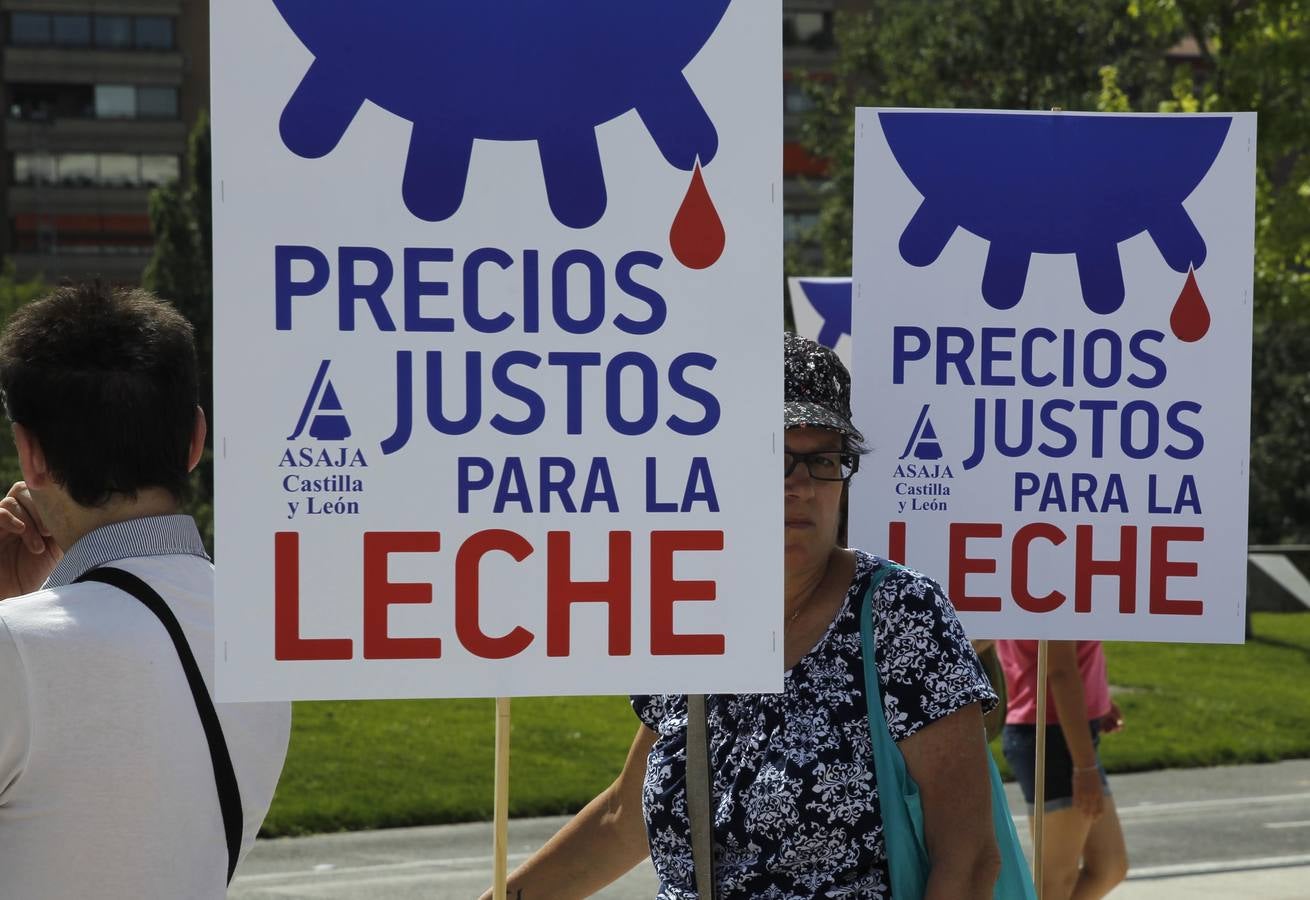 Reparto de leche en la Plaza del Milenio (Valladolid)