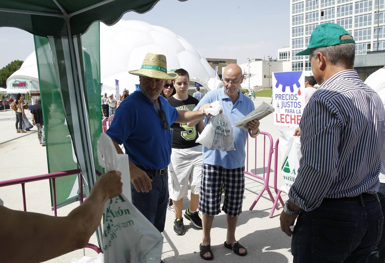 Reparto de leche en la Plaza del Milenio (Valladolid)
