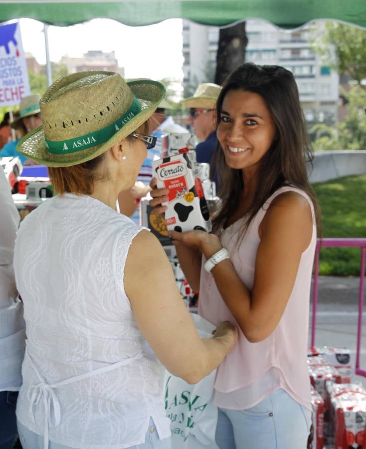 Reparto de leche en la Plaza del Milenio (Valladolid)