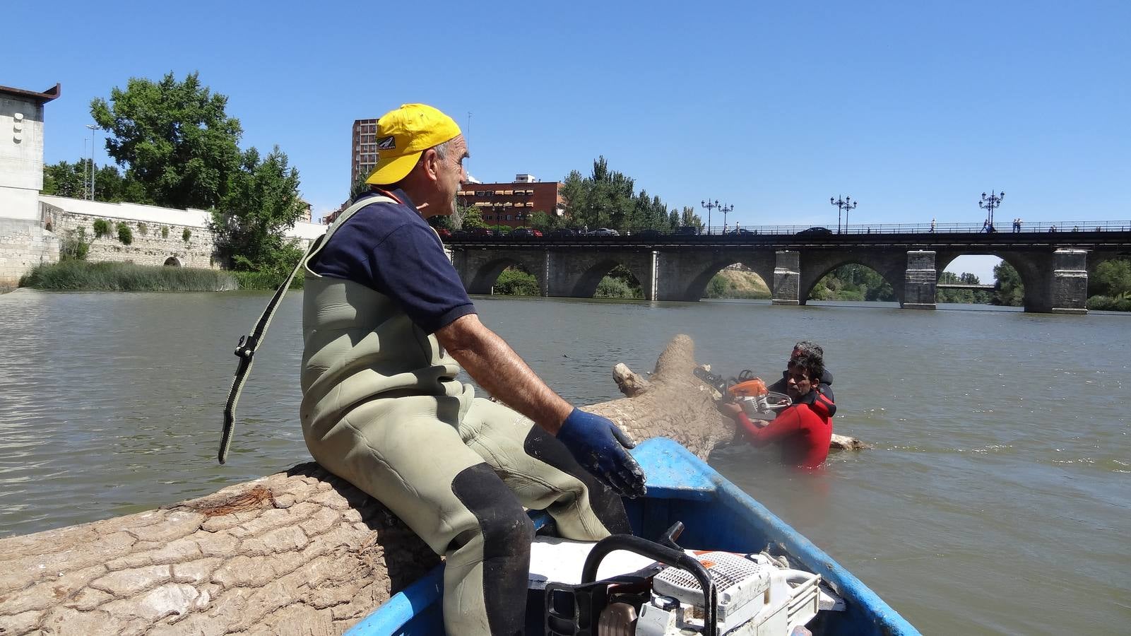 Retiran un tronco de 20 metros de la pesquera del Pisuerga en Valladolid