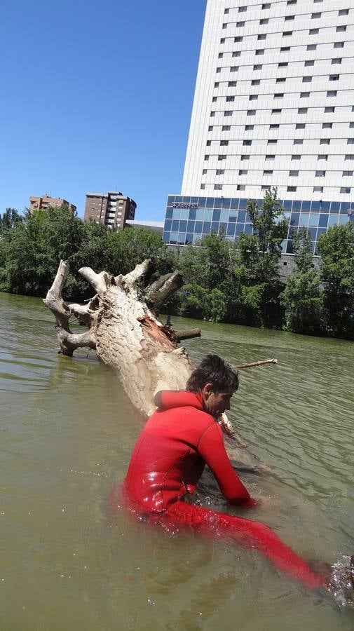 Retiran un tronco de 20 metros de la pesquera del Pisuerga en Valladolid