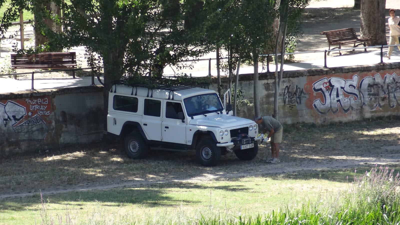 Retiran un tronco de 20 metros de la pesquera del Pisuerga en Valladolid