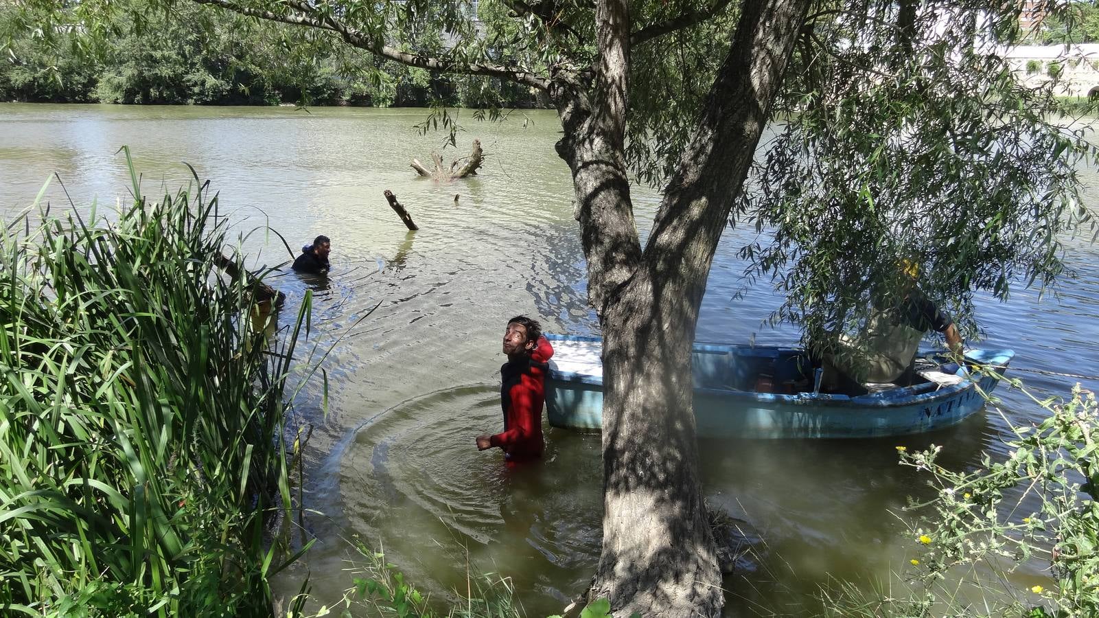 Retiran un tronco de 20 metros de la pesquera del Pisuerga en Valladolid