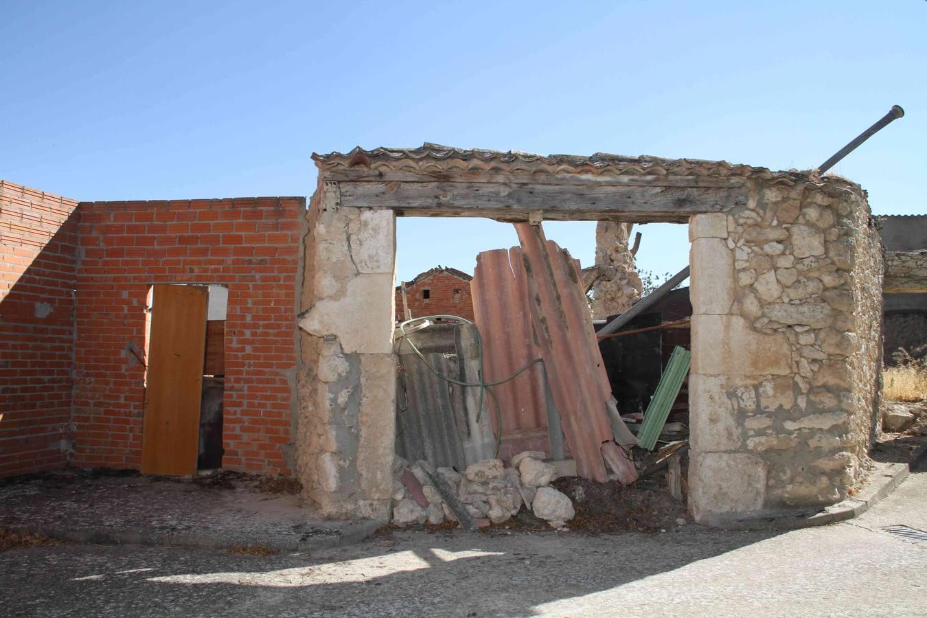 Los caballos abandonados de Manzanillo (Valladolid)