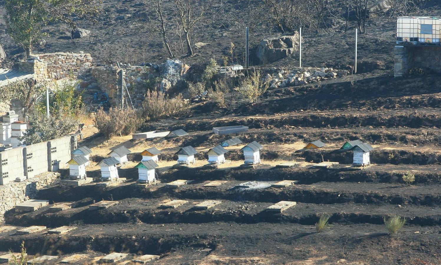 Incendio en la localidad de Vega de Espinareda (León)