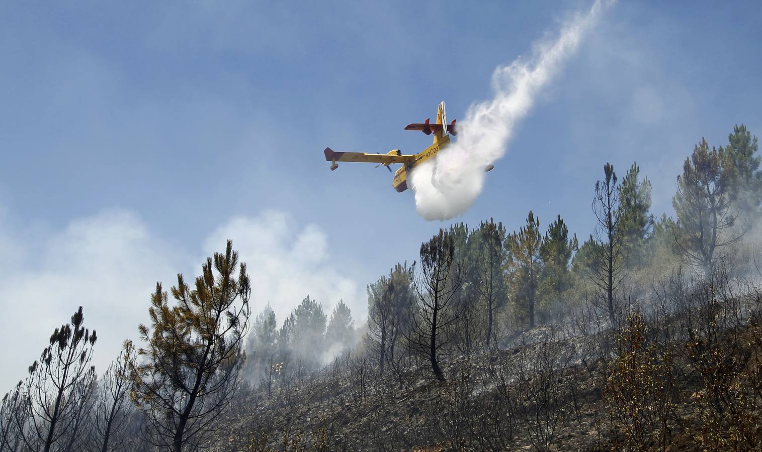 Incendio forestal en Serradilla del Llano (Salamanca)