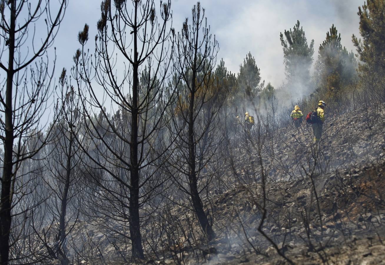 Incendio forestal en Serradilla del Llano (Salamanca)