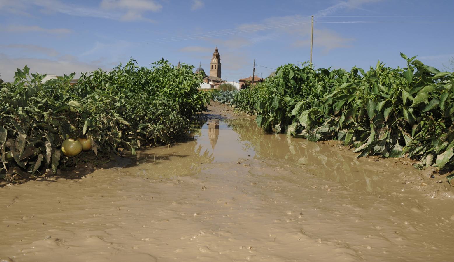 Alaejos sufre los efectos de una fuerte tromba de agua