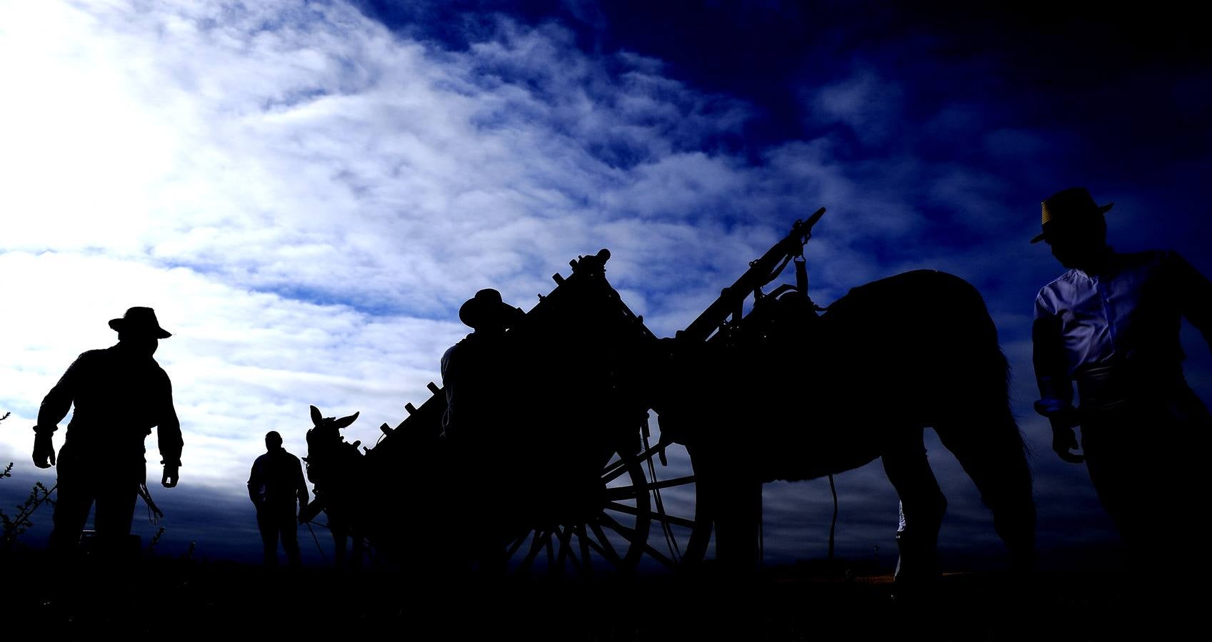 Nava del Rey recrea la siega a mano