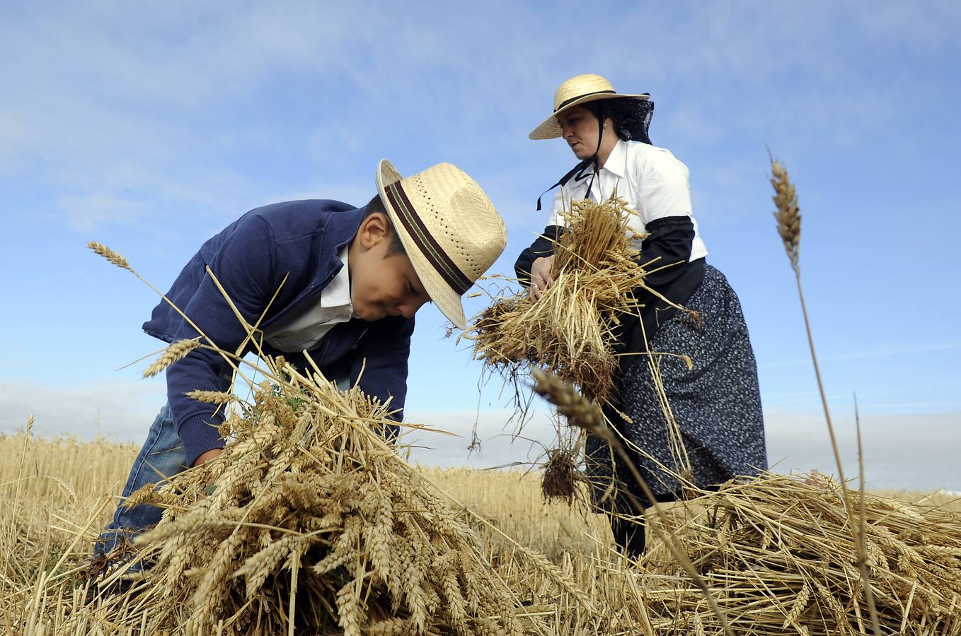 Nava del Rey recrea la siega a mano