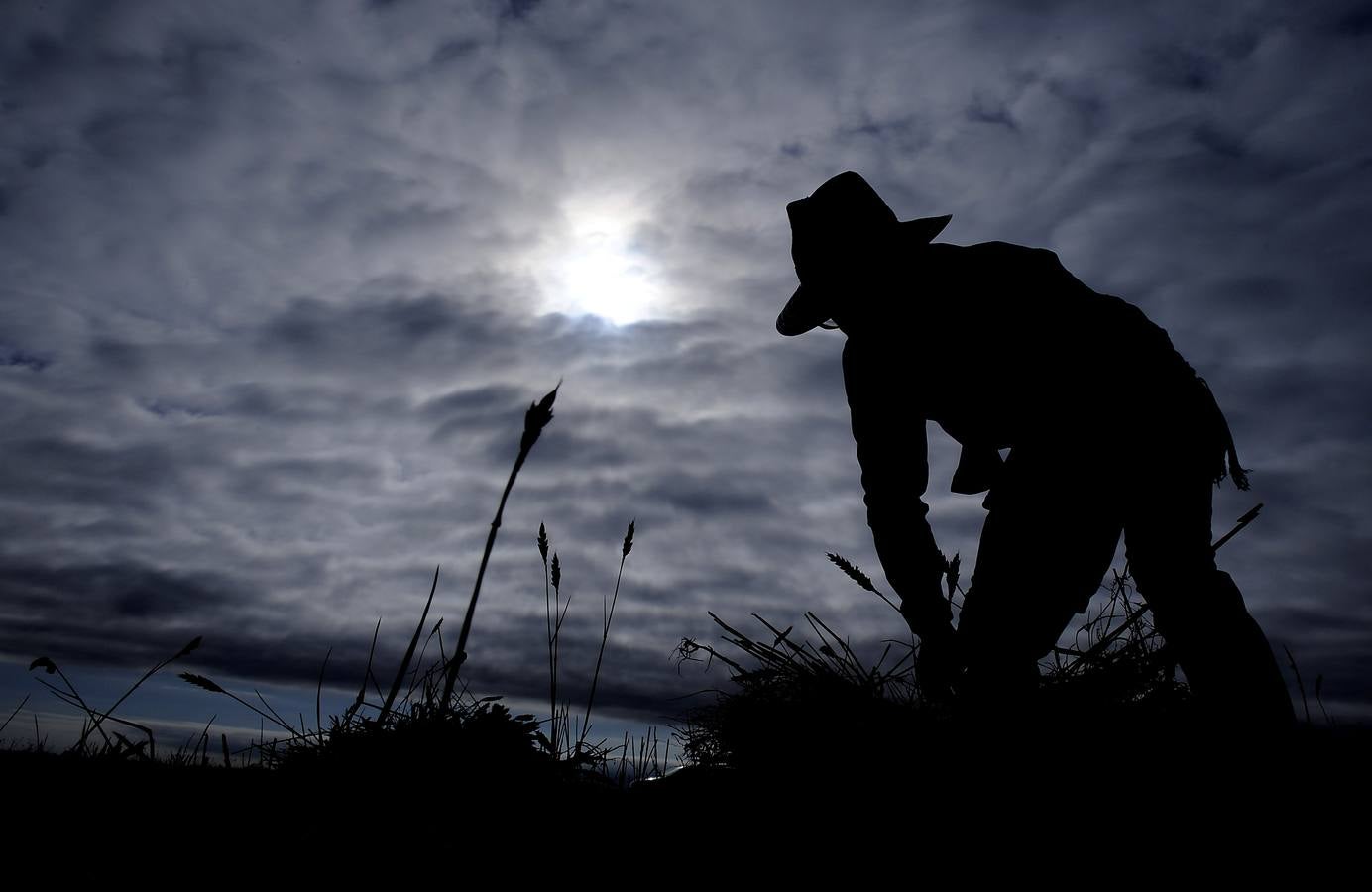 Nava del Rey recrea la siega a mano